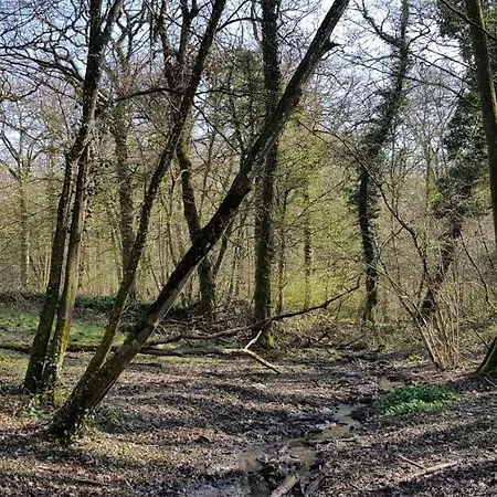 Les Du Cite Des Loisirs Galaxie Lägenhetshotell